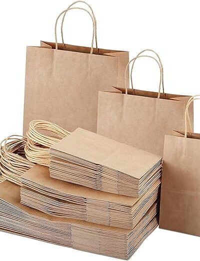 Disposable Brown Kraft Paper Bags Twisted Paper Handles it is Gifting bags 12pes